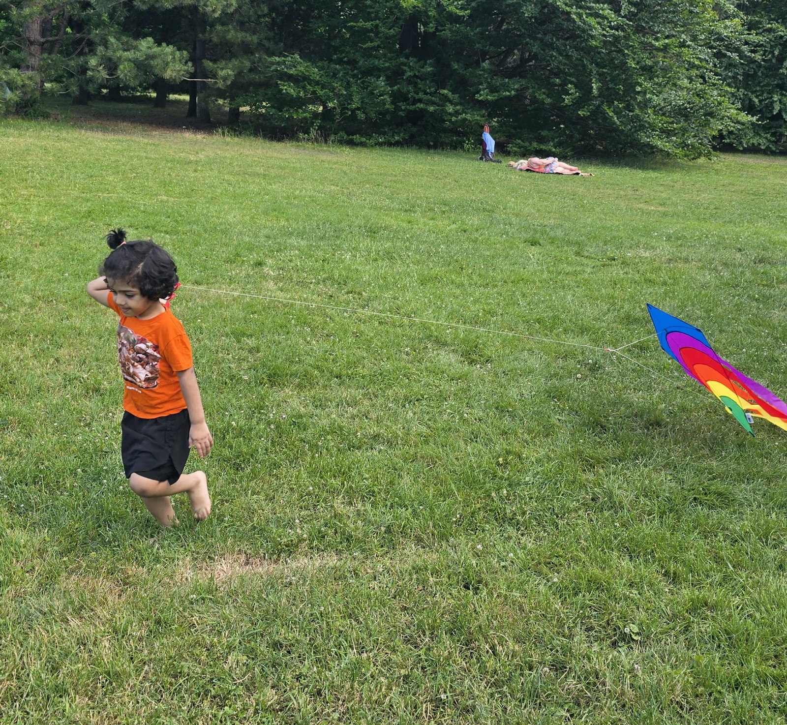 MMA Summer Picnic 2025 - Traditional games